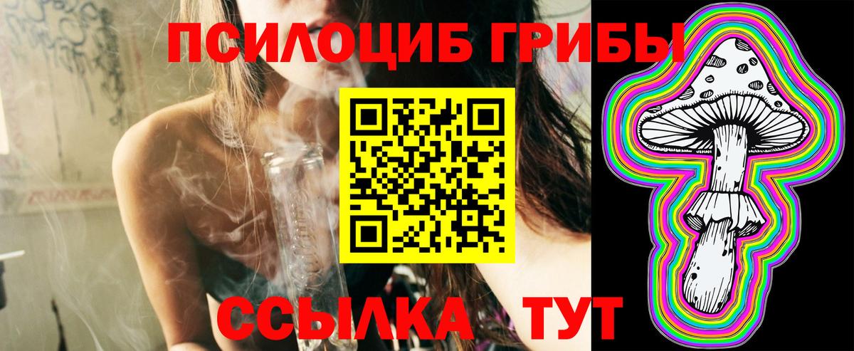 Псилоцибиновые грибы мицелий  Псилоцибиновые грибы MAGIC MUSHROOMS  Вход с VPN  Павловский Посад 